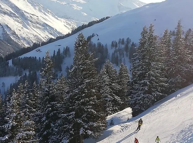 Loeberbauer トゥクス